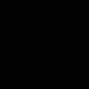 Meet your Posher, Alanna